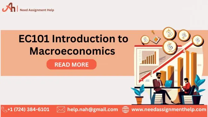 EC101 Introduction to Macroeconomics Assignment Help